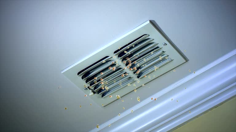 Best Dryer Vent Cleaning Services  in Woodville, TX